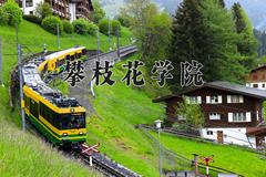 攀枝花学院2024在陕西录取分数线是多少？最低459分/最高475分