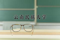 云南民族大学2024在陕西录取分数线是多少？最低438分/最高482分
