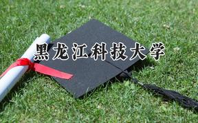 黑龙江科技大学2024在河南录取分数线是多少？最低463分/最高527分
