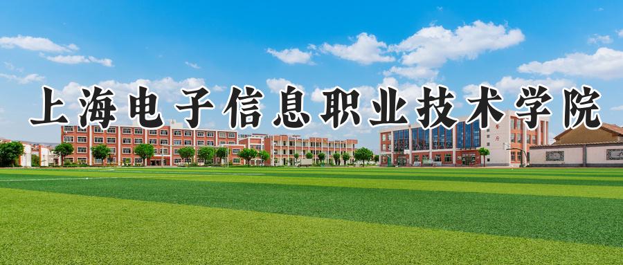 上海电子信息职业技术学院