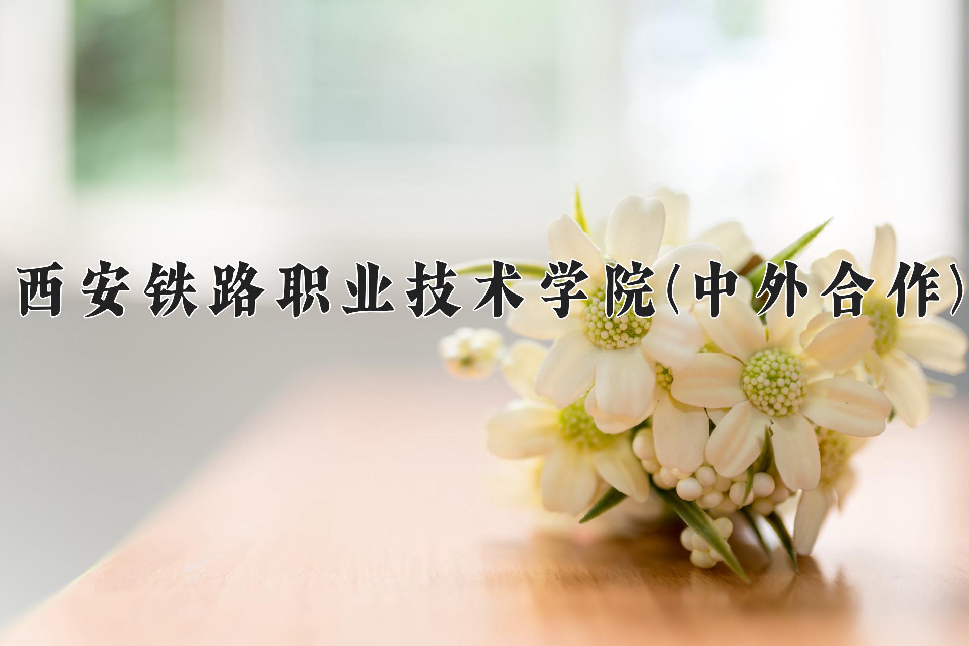 西安铁路职业技术学院(中外合作)