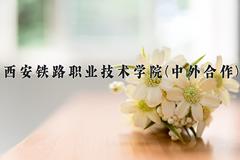 西安铁路职业技术学院(中外合作)2024在陕西录取分数线是多少？最低376分/最高397分