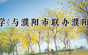 河南大学(与濮阳市联办濮阳工学院)2024在河南录取分数线是多少？最低518分/最高527分