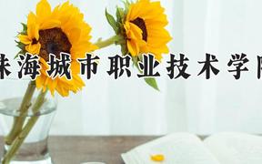 珠海城市职业技术学院2024在河南录取分数线是多少？最低358分/最高410分