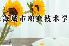 珠海城市职业技术学院2024在河南录取分数线是多少？最低358分/最高410分
