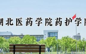 湖北醫(yī)藥學(xué)院藥護(hù)學(xué)院2024在河南錄取分?jǐn)?shù)線是多少？最低465分/最高494分