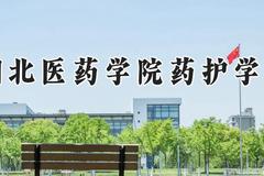 湖北医药学院药护学院2024在河南录取分数线是多少？最低465分/最高494分