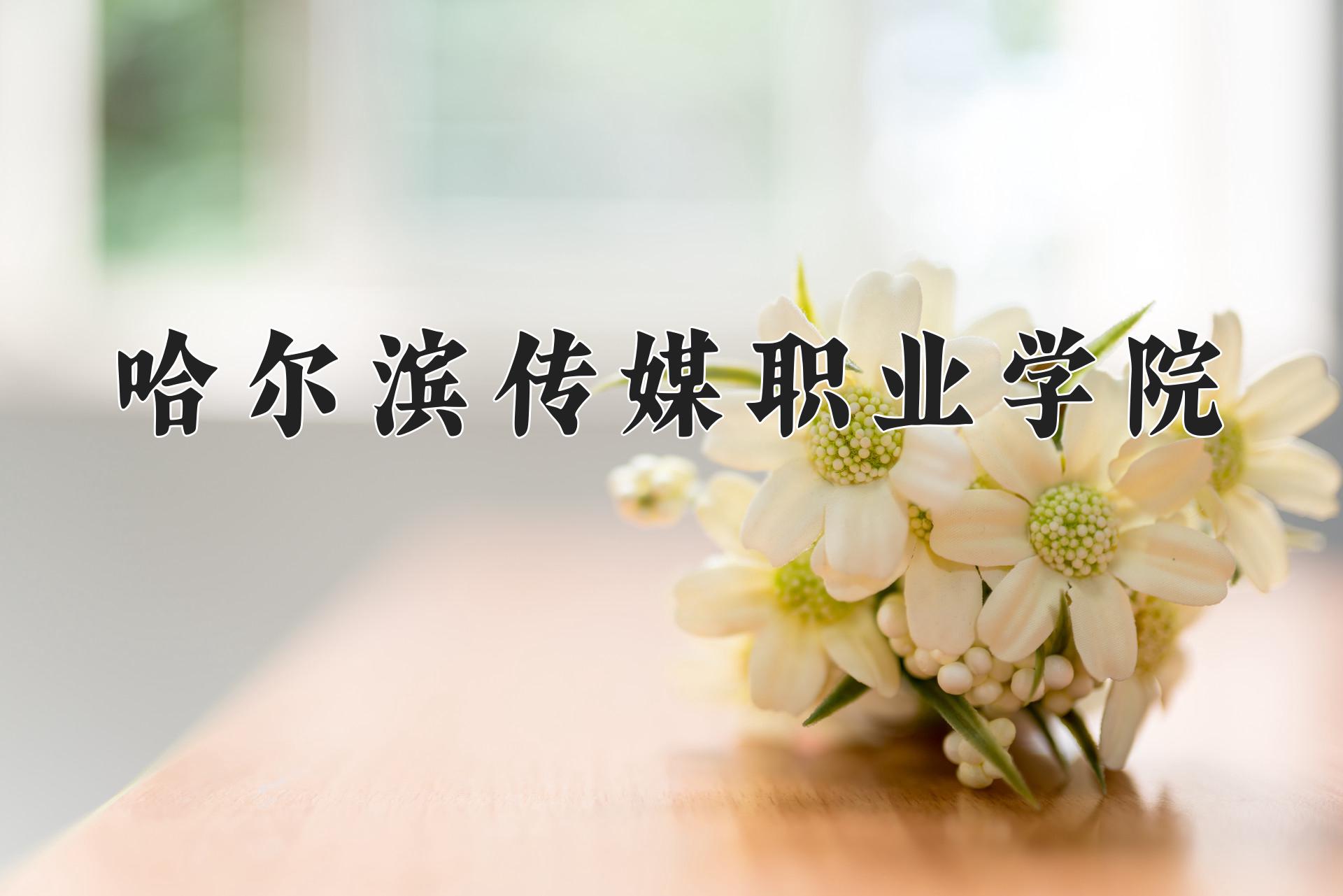 哈尔滨传媒职业学院