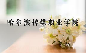 哈尔滨传媒职业学院2024在陕西录取分数线是多少？最低206分/最高350分