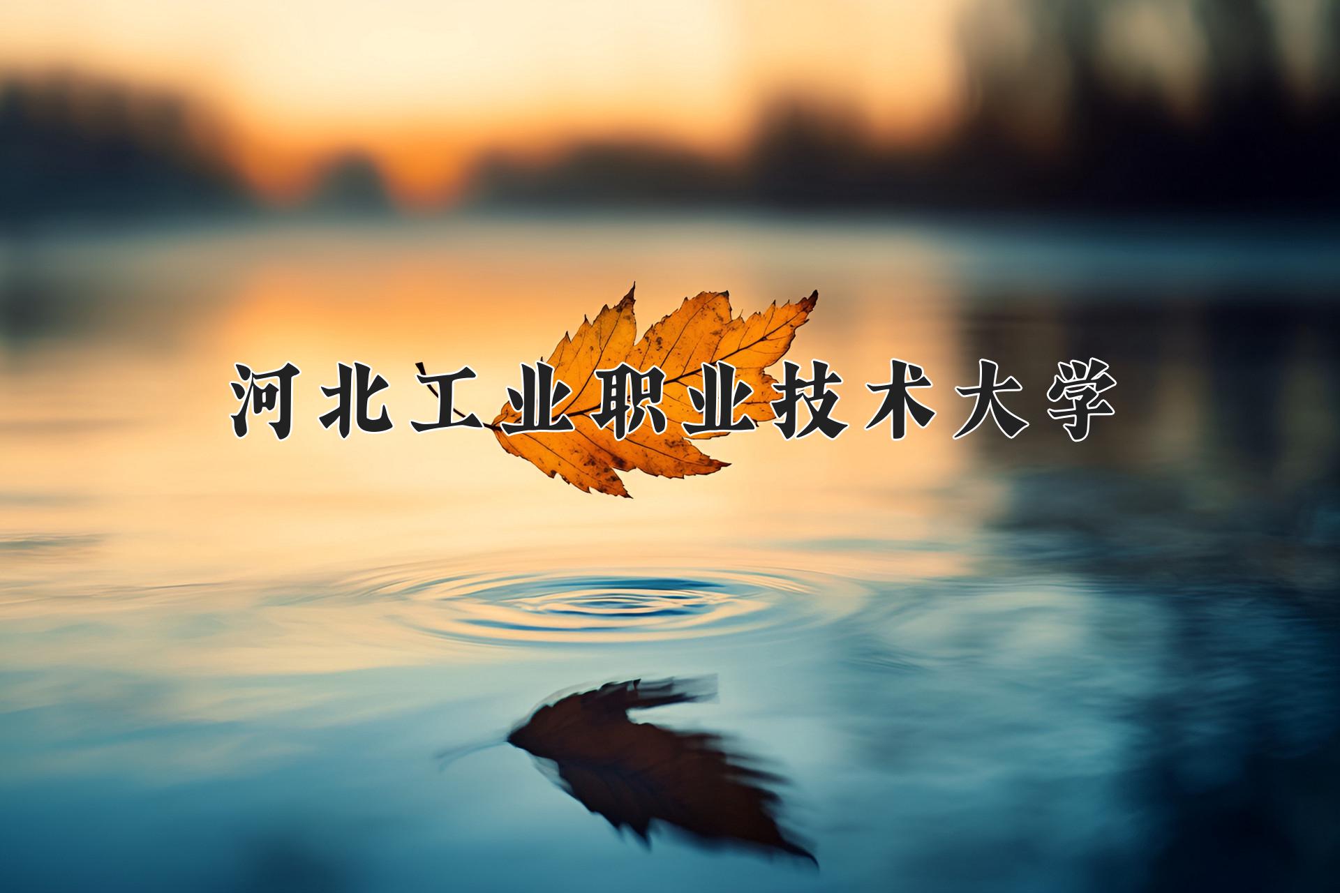 河北工业职业技术大学