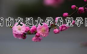 西南交通大学希望学院2024在河南录取分数线是多少？最低441分/最高513分