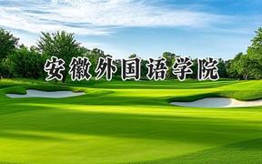 安徽外国语学院2024在河南录取分数线是多少？最低412分/最高439分