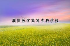 濮阳医学高等专科学校2024在陕西录取分数线是多少？最低352分/最高397分