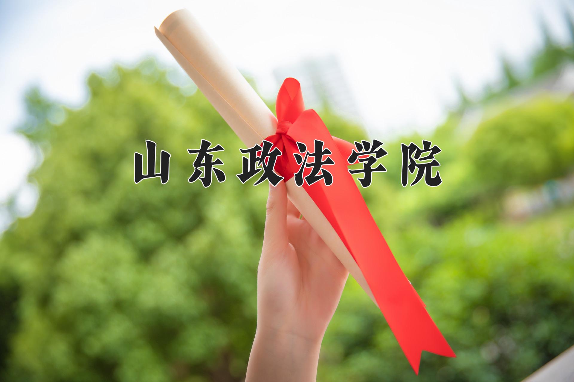 山东政法学院
