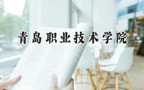 青岛职业技术学院2024在河南录取分数线是多少？最低202分/最高393分