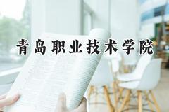 青岛职业技术学院2024在河南录取分数线是多少？最低202分/最高393分