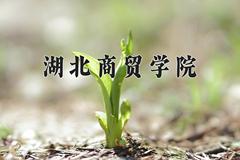 湖北商贸学院2024在陕西录取分数线是多少？最低332分/最高451分