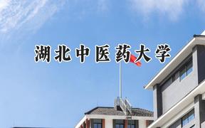 湖北中医药大学2024在河南录取分数线是多少？最低522分/最高558分