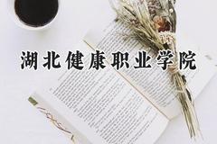 湖北健康职业学院2024在河南录取分数线是多少？最低185分/最高276分