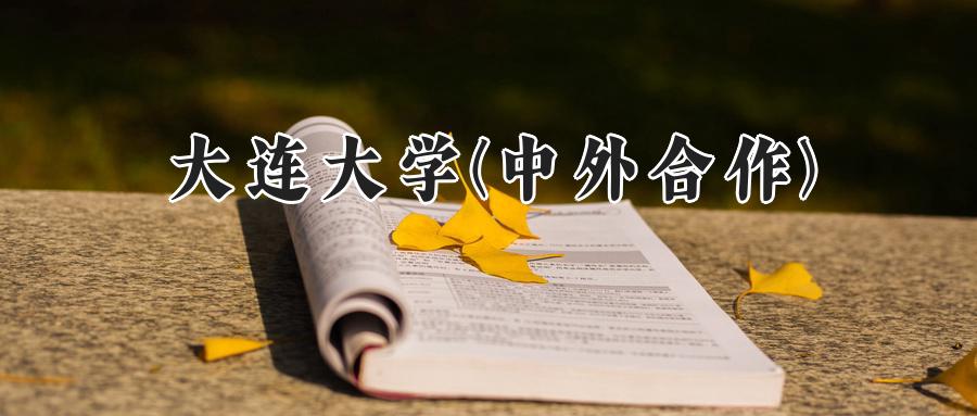 大连大学(中外合作)