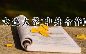 大连大学(中外合作)2024在河南录取分数线是多少？最低404分/最高498分