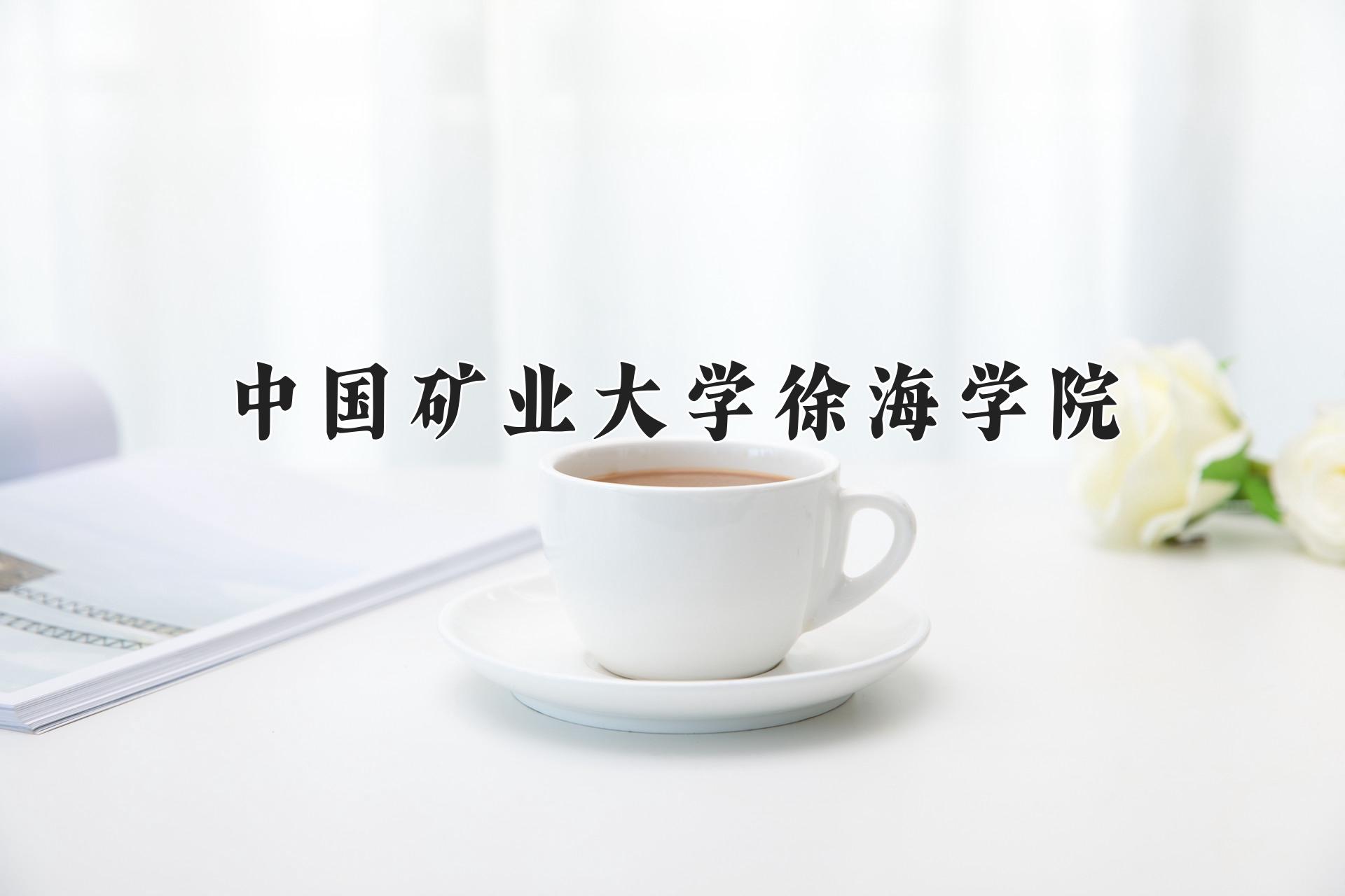 中国矿业大学徐海学院
