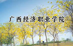 广西经济职业学院2024在河南录取分数线是多少？最低167分/最高273分