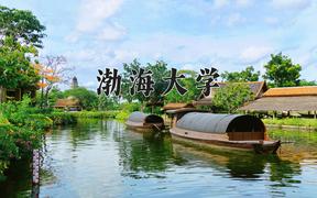 渤海大学2024在陕西录取分数线是多少？最低458分/最高479分
