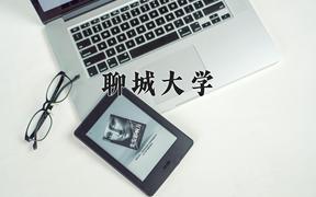 聊城大学2024在陕西录取分数线是多少？最低458分/最高494分