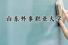 山东外事职业大学2024在河南录取分数线是多少？最低185分/最高431分