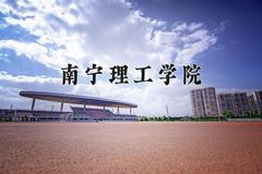 南宁理工学院2024在陕西录取分数线是多少？最低394分/最高415分