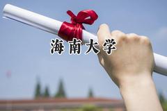 海南大学2024在河南录取分数线是多少？最低550分/最高600分
