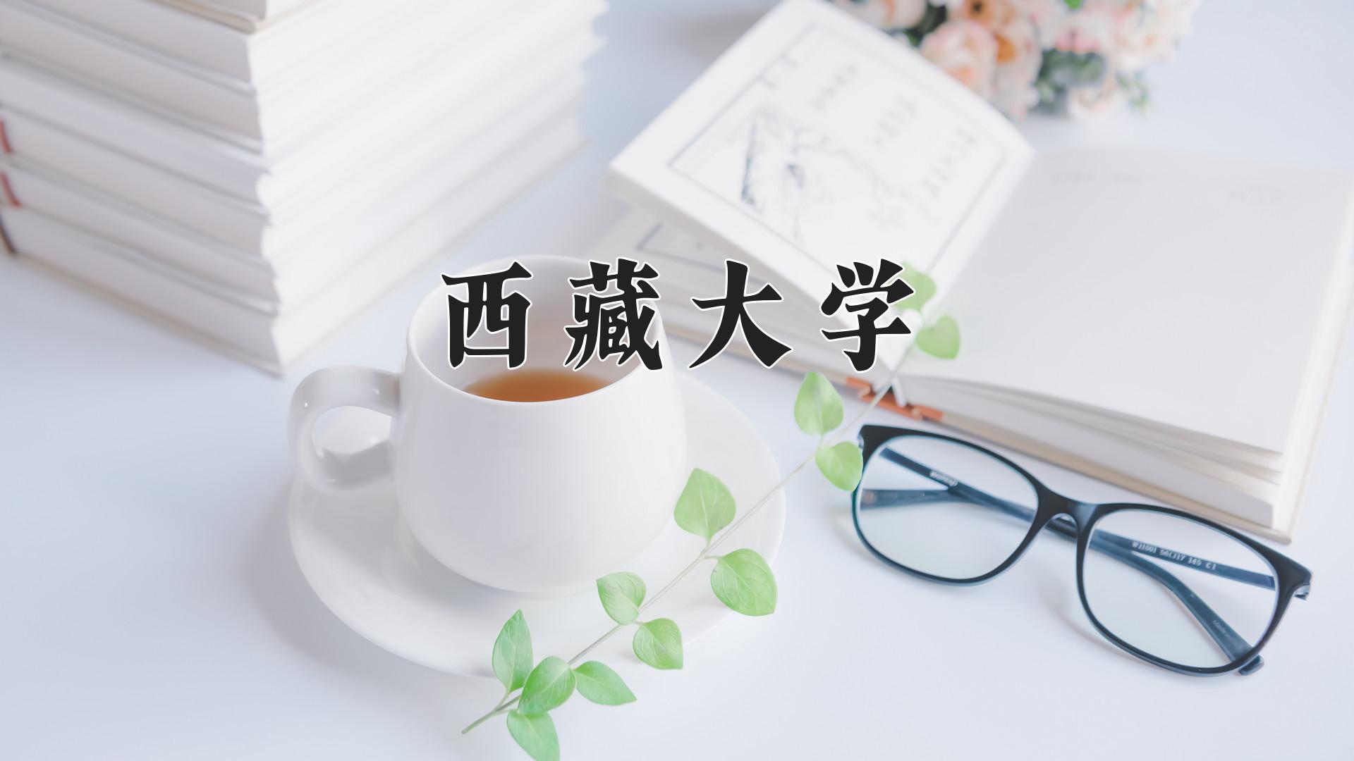 西藏大学
