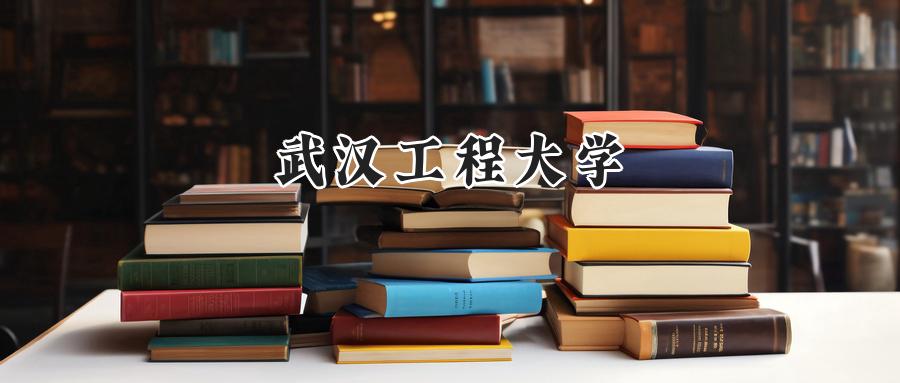 武汉工程大学