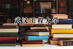 武汉工程大学2024在河南录取分数线是多少？最低517分/最高590分