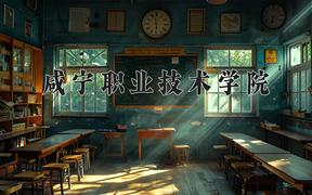咸宁职业技术学院2024在陕西录取分数线是多少？最低327分/最高339分