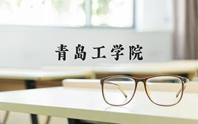 青岛工学院2024在陕西录取分数线是多少？最低415分/最高447分