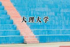 大理大学2024在河南录取分数线是多少？最低473分/最高538分