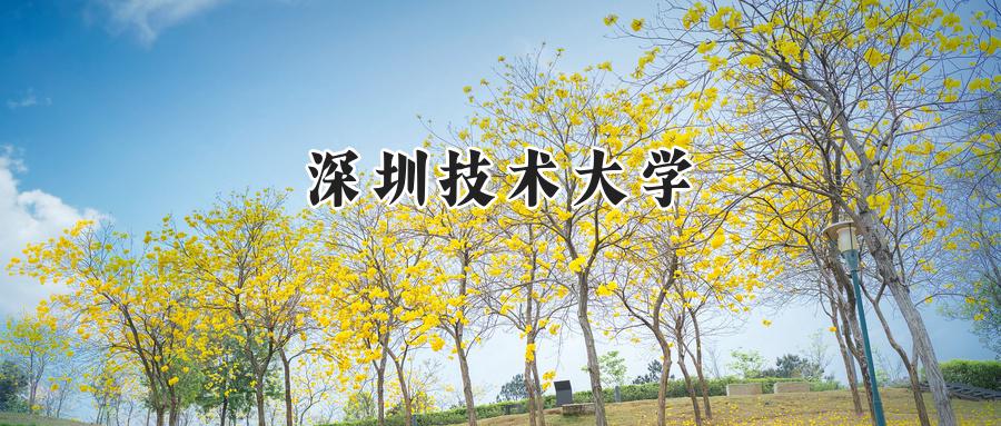 深圳技术大学