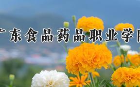 广东食品药品职业学院2024在河南录取分数线是多少？最低356分/最高412分