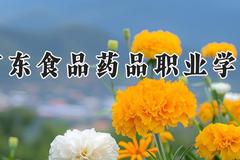 广东食品药品职业学院2024在河南录取分数线是多少？最低356分/最高412分