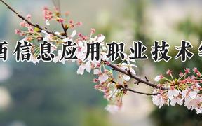 江西信息应用职业技术学院2024在河南录取分数线是多少？最低323分/最高387分