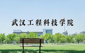 武汉工程科技学院2024在陕西录取分数线是多少？最低424分/最高446分