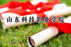 山东科技职业学院2024在河南录取分数线是多少？最低338分/最高411分