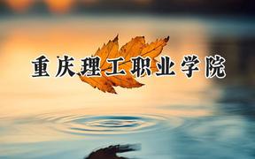 重庆理工职业学院2024在河南录取分数线是多少？最低165分/最高350分