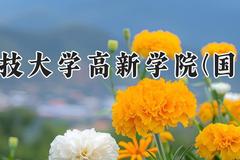 西安科技大学高新学院(国际项目)2024在河南录取分数线是多少？最低411分/最高439分