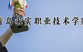 青岛求实职业技术学院2024在河南录取分数线是多少？最低216分/最高282分
