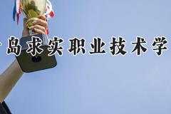 青岛求实职业技术学院2024在河南录取分数线是多少？最低216分/最高282分
