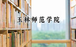 玉林师范学院2024在河南录取分数线是多少？最低461分/最高487分