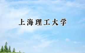 上海理工大学2024在河南录取分数线是多少？最低546分/最高595分